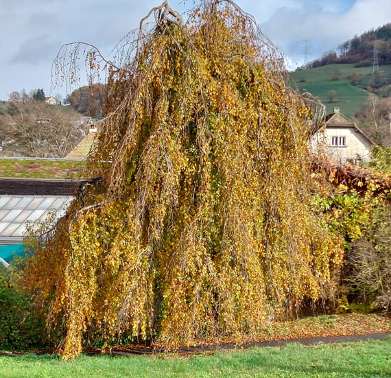 Foto: Olivia Di Marco