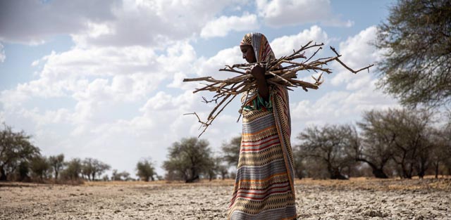 Frau beim Holzsammeln im Tschad. Foto: caritas 