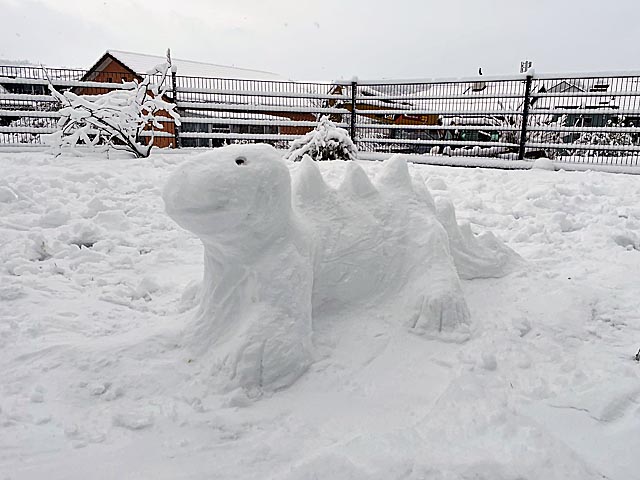 Foto: Jeannette Stäuble