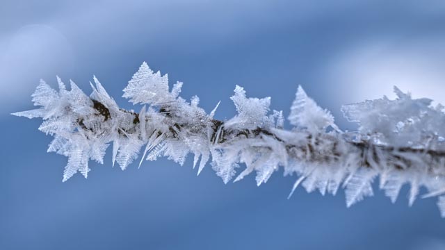 Foto: Bianca Kühweidner