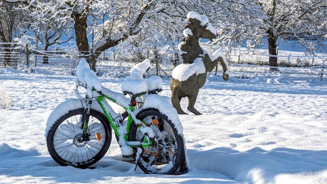 Foto: Bianca Kühweidner