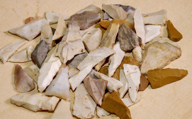 Über 100'000 Funde hat Werner Brogli in über 70 Jahren gesammelt. Rund 25'000 Objekte sind in die Archäologische Sammlung des Kantons Aargau aufgenommen worden. Foto: zVg