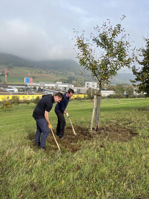 Ein UBS-Team im Oktober im Natureinsatz bei ArboVitis Frick. Fotos: zVg