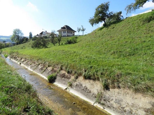 eilweise begrünter Standort in Schinznach. Foto: © Eva Frei