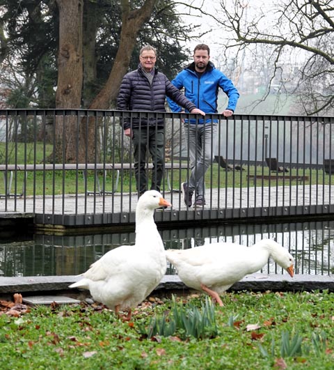 Die Gänse haben am Stadtpark-Weiher Einzug gehalten. Foto: zVg 