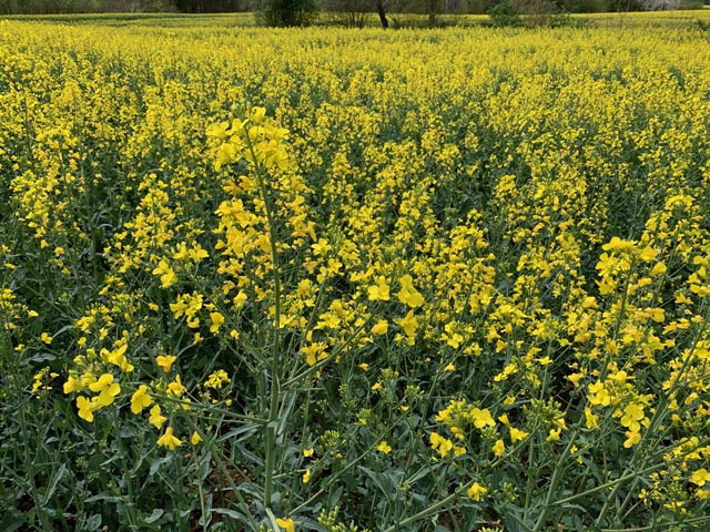 Foto: Margrit Freudemann