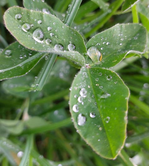 Foto: Olivia Di Marco, Frick