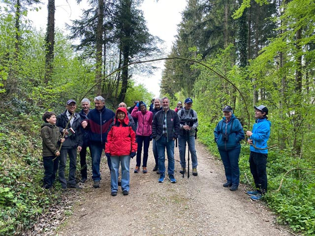 Gansingen: Morgenexkursion vom Naturschutzverein