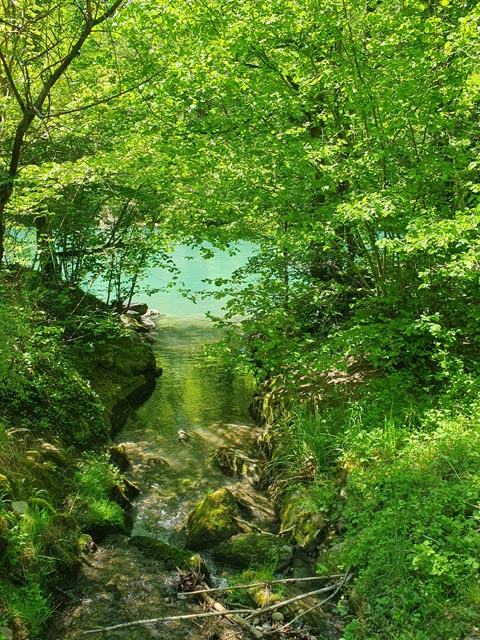 Flusslandschaft. Foto: zVg