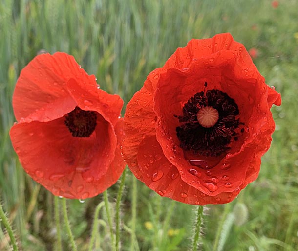 Foto: Margrit Freudemann