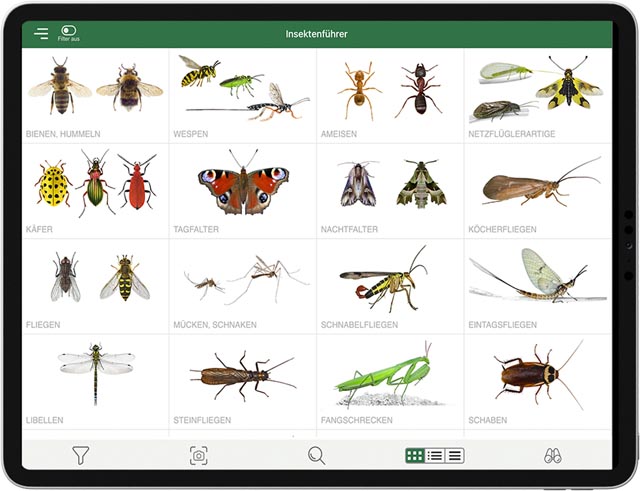 Mit der neuen App «Pro Natura Insektenführer» lassen sich Insekten, Spinnentiere und Tausendfüssler schnell und einfach bestimmen. Foto: © App Pro Natura Insektenführer