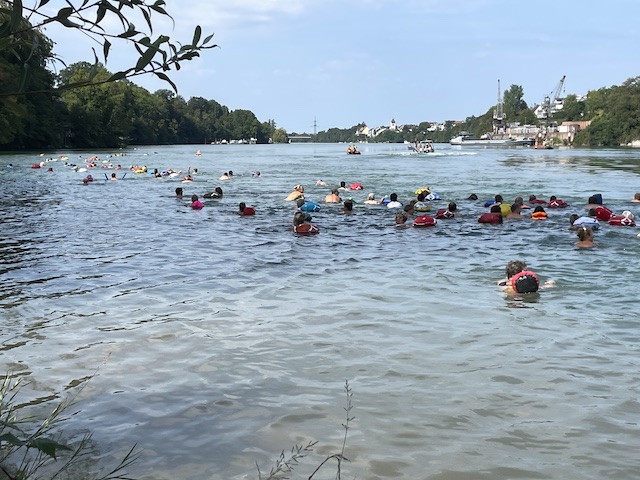 Rheinfelden: Grenzüberschreitendes Rheinschwimmen am 11. August