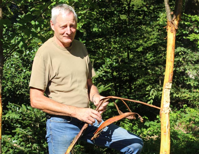 Roland Keller mit den traurigen Überresten vor dem geschälten Baumstamm. Foto: Dieter Deiss