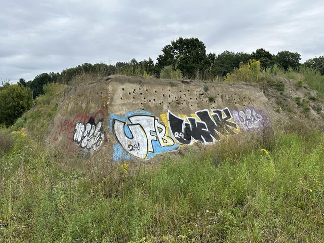 Graffiti im Naturschutzgebiet – unglaublich aber wahr. Foto: NVM