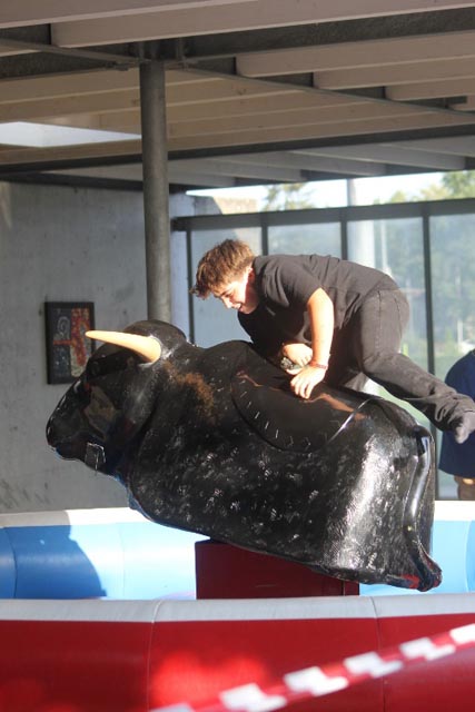 Rodeo auf dem Bulle. Foto: zVg