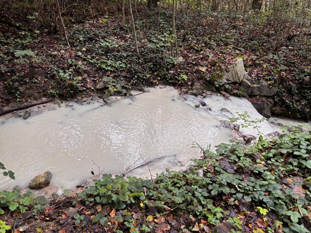 Die weisse Trübung im Buechholdenbächli bei Lausen deutet auf mineralisches Material hin. Foto: zVg