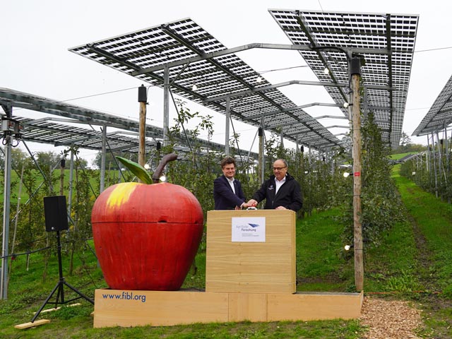 Knopfdruck: Landwirtschaftsdirektor Dr. Markus Dieth und FiBL-Geschäftsleitungsvorsitzender Jürn Sanders starten die Solarstromproduktion über der Apfelkultur am FiBL in Frick. Foto: Copyright Basler, FiBL