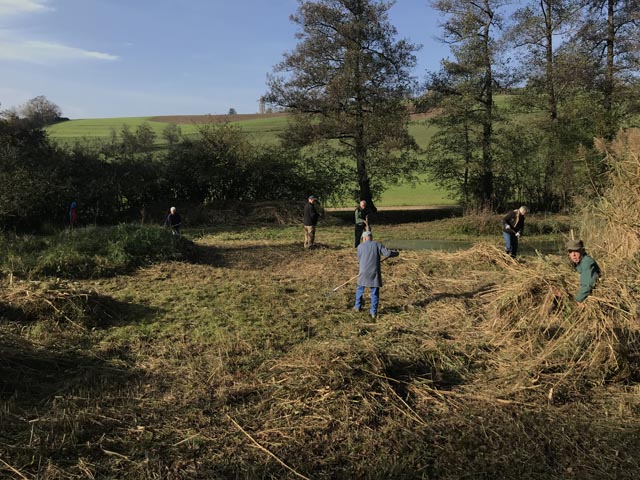 Mitglieder des Naturschutzvereins bei ihrem Einsatz im Feuchtgebiet Tal. Foto: zVg