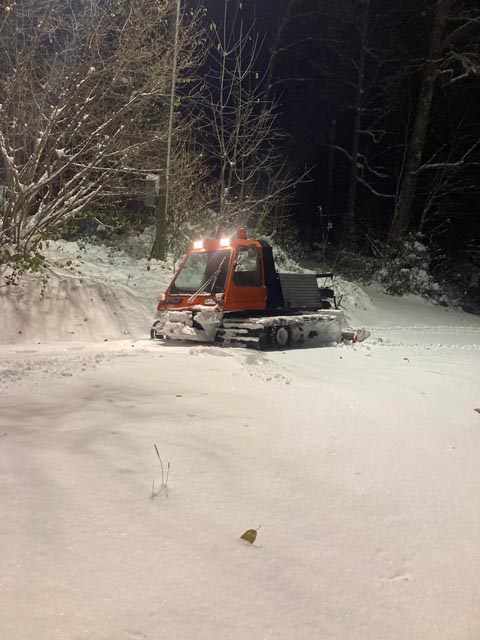 Foto: Vanessa Waldmeier