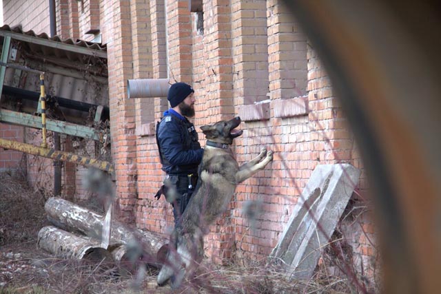 Vierbeinige Unterstützung für die Polizei Oberes Fricktal: «Gin» (im Bild) hat die Einsatzfähigkeitsprüfung mit Bravour bestanden, genauso wie seine Dienstkollegin «Gaia». Foto: POF