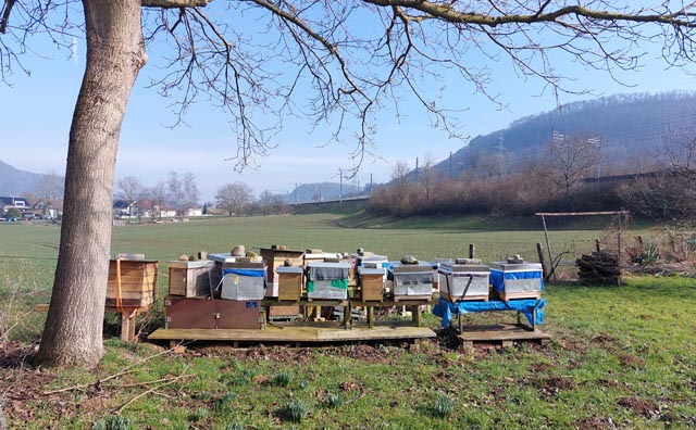 Foto: Olivia Di Marco, Frick