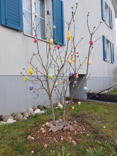 Foto: Olivia Di Marco ,Frick