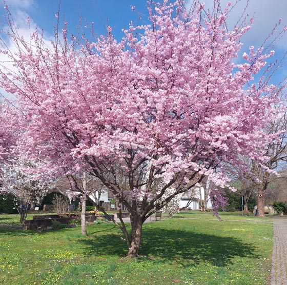 Foto: Olivia Di Marco