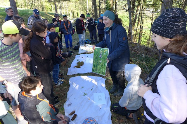 Primarschule Herznach-Ueken auf Exkursion in der Natur
