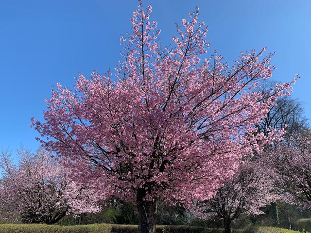 Foto: Margrit Freudemann