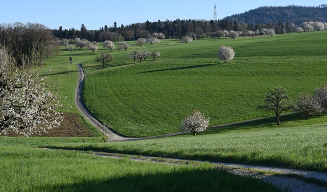 Im April 2025. Foto: Urs Berger