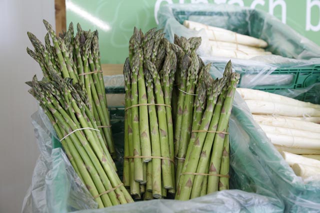 ... und 355 Tonnen Grünspargeln geerntet. Fotos: jin