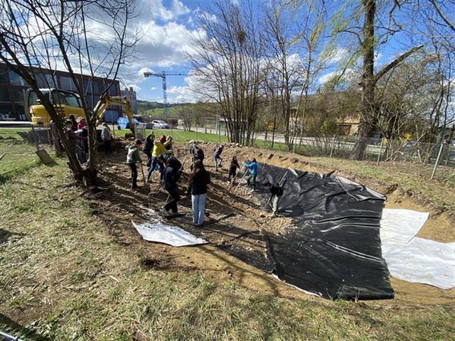 Fricker Oberstufenschülerinnen und -schüler beim Ausheben des neuen Schulweihers im Rahmen der Projektwoche «Nachhaltigkeit». Foto: zVg