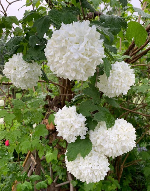 Foto: Margrit Freudemann