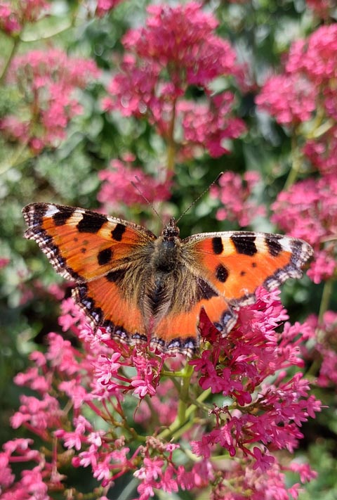 Foto: Olivia Di Marco, Frick