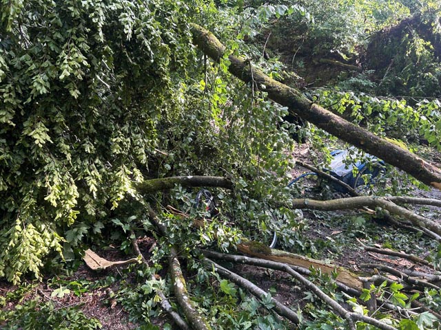 Der blaue Veloanhänger