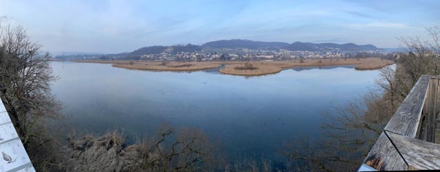 Schutzgebiet Klingnauer Stausee mit Wasser- und Watvögel. Foto: © Kanton Aargau
