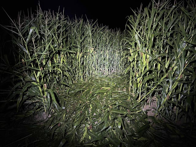 Foto: Polizei Aargau