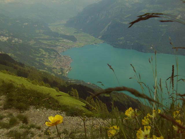 Blick von der Aellgäuw-Licke auf 1918 Metern über dem Meeresspiegel in Richtung Brienz. Vis-à vis liegt die Axalp. Hier hat der liebe Gott die Welt geküsst.