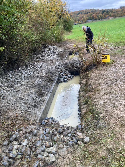 Erfolgreicher Naturschutztag des NVR in Rheinfelden. Foto: zVg