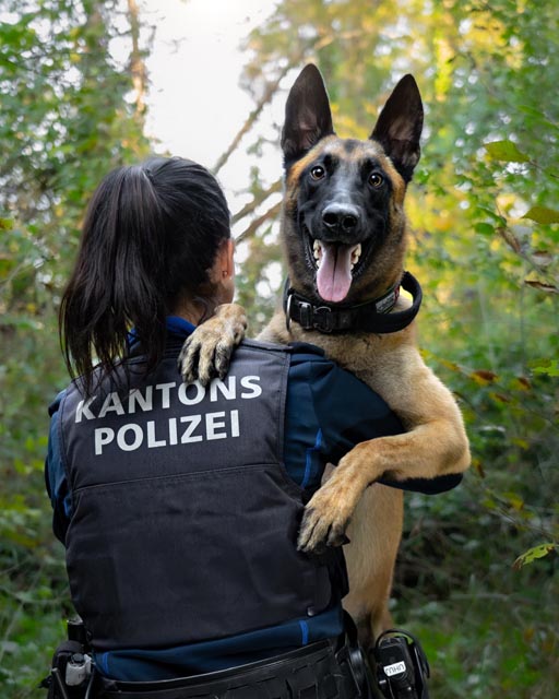 Diensthund «Malouk». Foto: Polizei AG