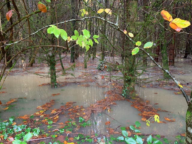 Foto: Margrit Freudemann, Kaisten