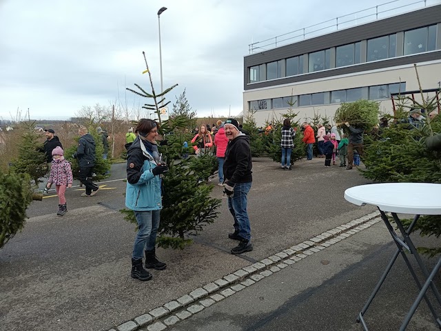 Schupfart: Weihnachtsbaum-Abholaktion – Landwirte bedanken sich