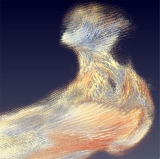 Durch Abtasten mit einem Röntgenstrahl konnten Forschende am PSI die lokalen Kollagenstrukturen in einem Gehörknöchelchen sichtbar machen. Die verschiedenfarbigen Zylinder zeigen, wie stark die Kollagenbündel in einem 20 mal 20 mal 20 Mikrometer grossen Abschnitt räumlich ausgerichtet sind. Foto: © Paul Scherrer Institut PSI/Christian Appel