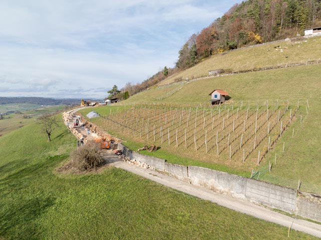 Neubau der Trockensteinmauer am Besseberg © apiaster GmbH