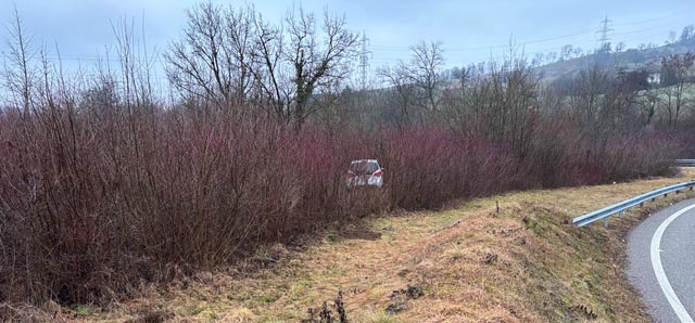Vermutlich in alkoholisiertem Zustand kam ein Fahrer bei Frick von der Strasse ab.