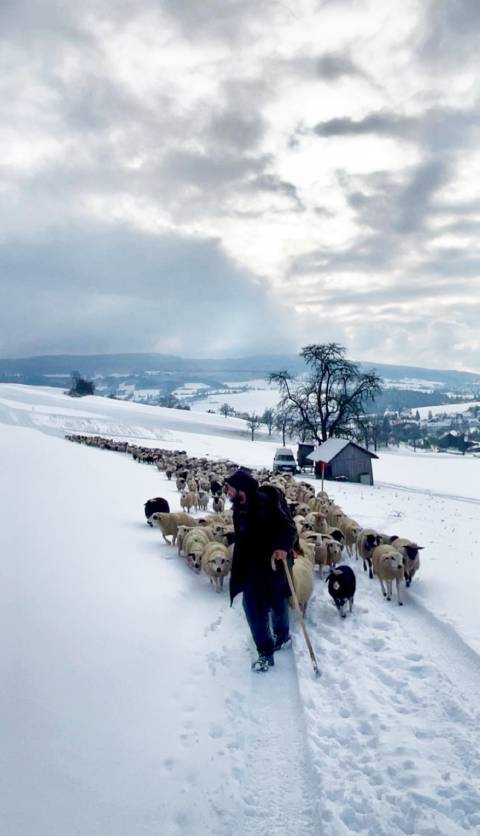Herausfordernd bei Schnee. Foto: Lea König
