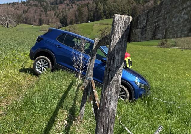 Dem Verkehrsunfall dürfte eine medizinische Ursache zugrunde liegen.