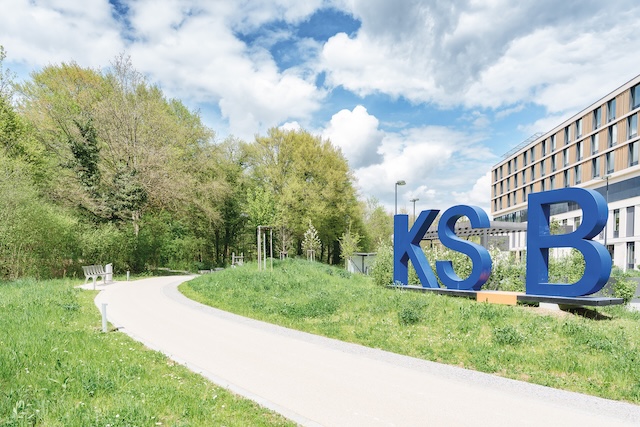 Im angrenzenden Waldgebiet «Innere Sommerhalde» (li.) soll der Heilwald des KSB entstehen. Foto: KSB