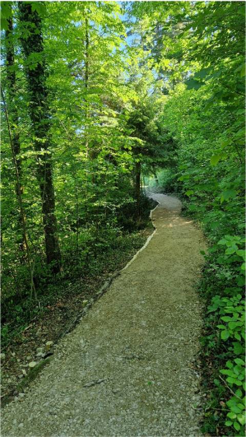 Verbreitert und befestigt: So präsentiert sich nun der ehmalige Trampelpfad im Eichholz zwischen Oeschgen und Kaisten. Foto: zVg 