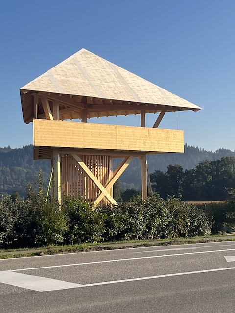 Die letztes Jahr provisorisch installierte Plattform erhält einen definitiven Platz: Am Südrand des Sisslerfeld in Münchwilen beginnen am 31. August die Arbeiten zum Wiederaufbau. Foto: zVg